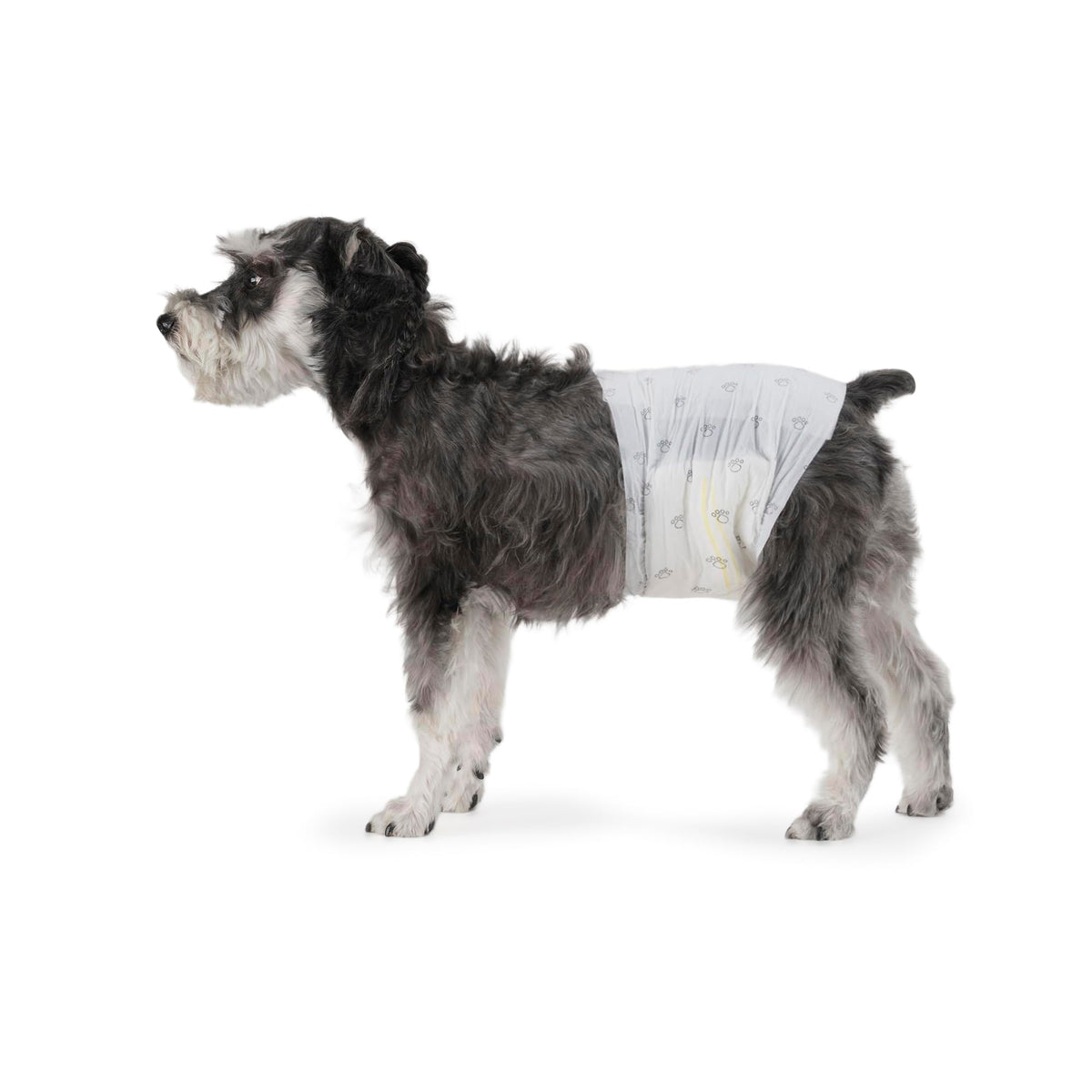 Panales Amazon Basics para perros machos, paquete de 30, protección diaria.