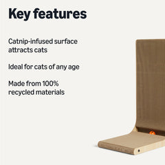 Amazon Basics rascador para pared; rascado vertical cómodo y estable en casa.
