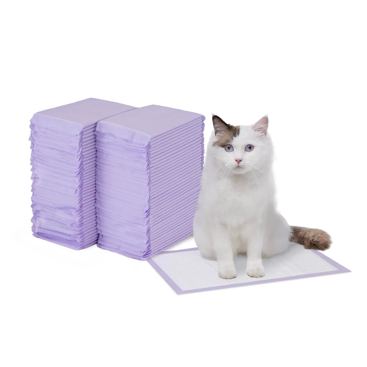 Amazon Basics recambios de almohadillas para gato con aroma fresco para control de olores.