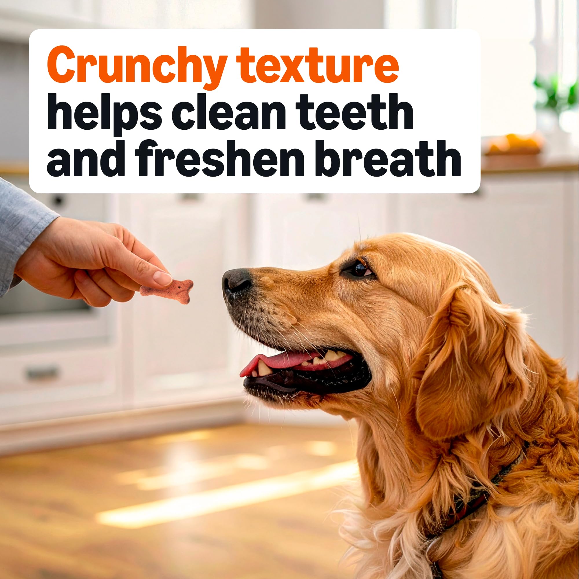 Amazon Basics textura crujiente ayuda a limpiar dientes durante el juego.
