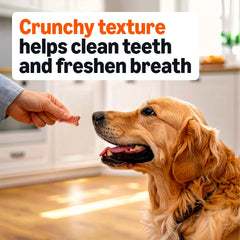 Amazon Basics textura crujiente ayuda a limpiar dientes durante el juego.