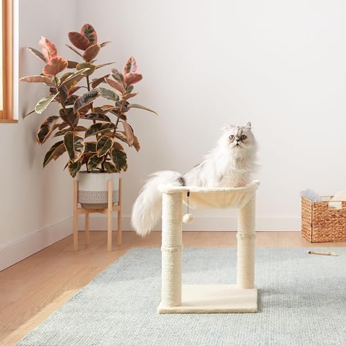 Amazon Basics torre de gato con dimensiones 15.8 x 15.8 x 19.7 pulgadas, adecuada para espacios pequeños.
