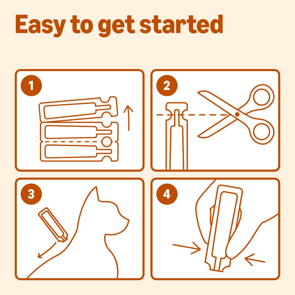 Protección de hasta 4 semanas por dosis de Amazon Basics.