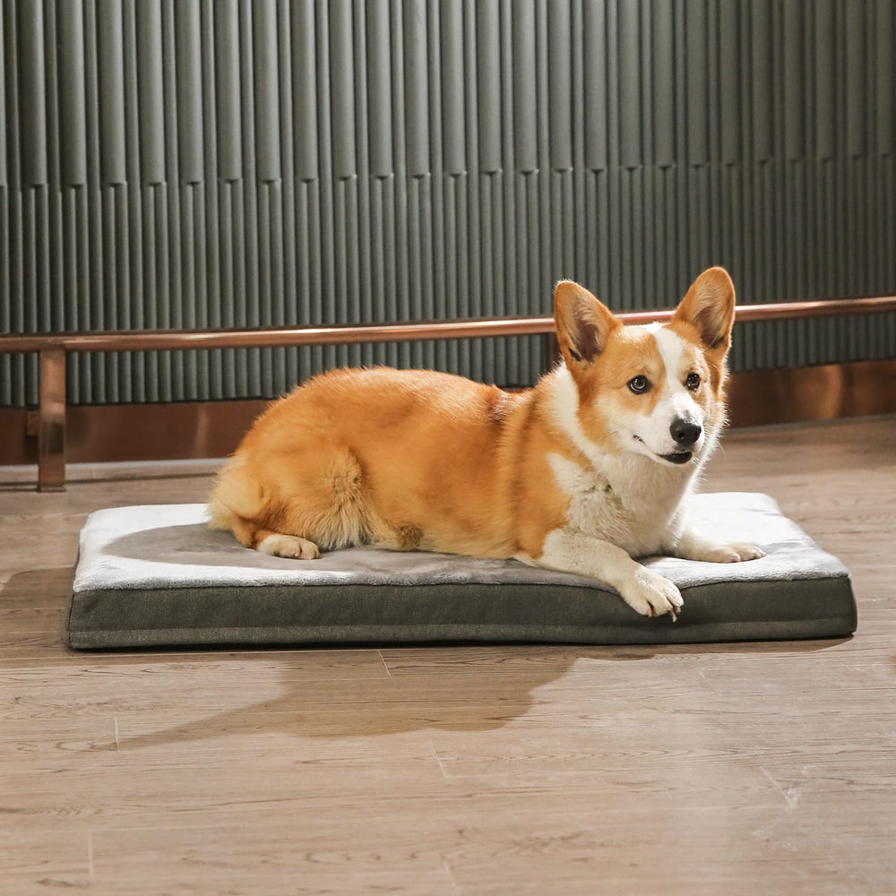 Amazon Basics cama para perros 35x22 pulgadas para razas medianas.