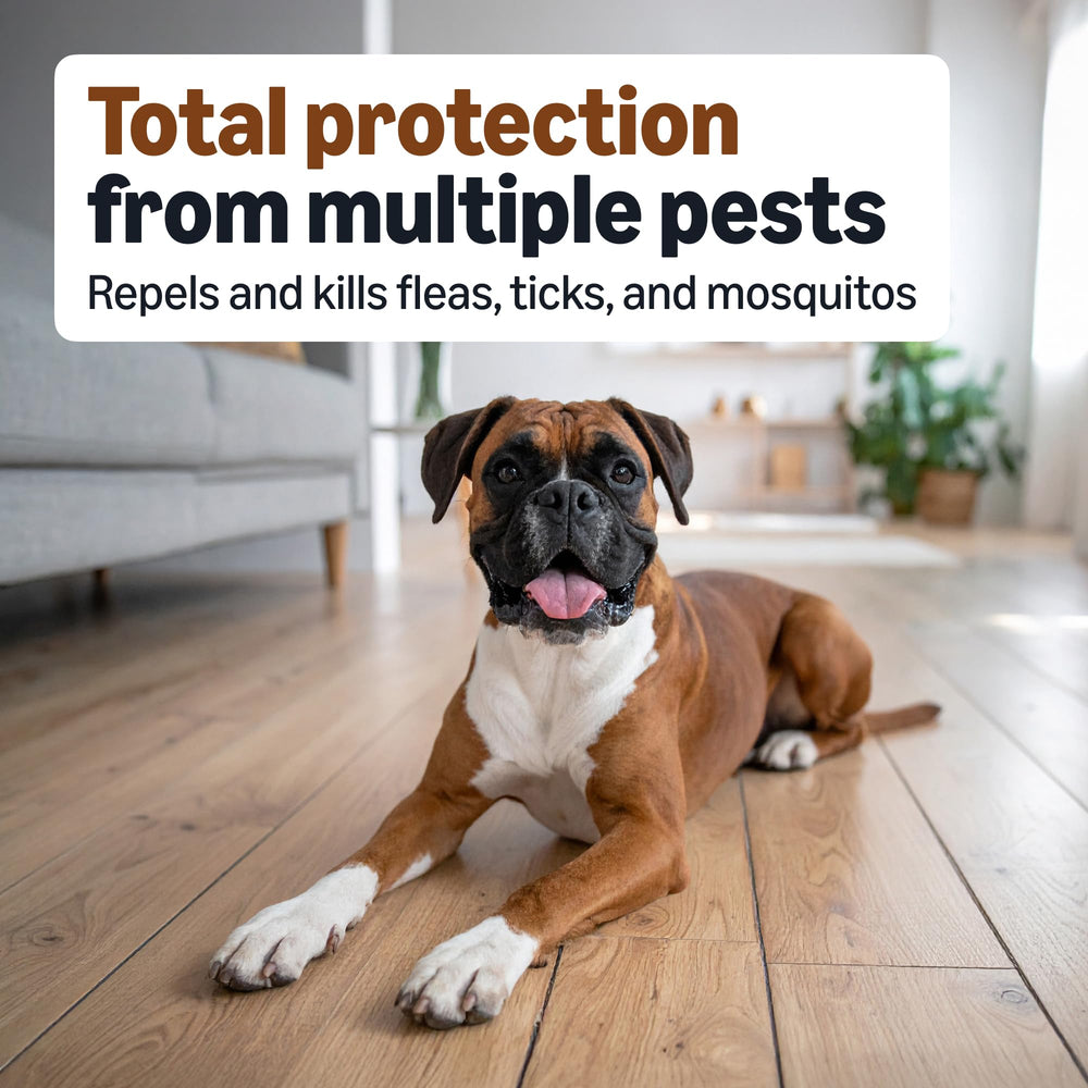 Amazon Basics ofrece protección de hasta 30 días contra pulgas, mosquitos y garrapatas.