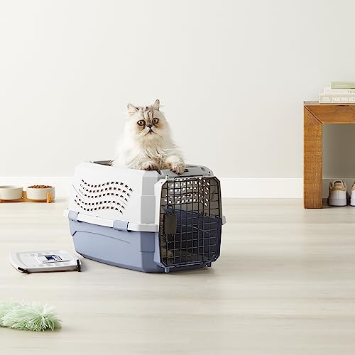 Amazon Basics medidas 22.8 x 15 x 13 pulgadas – tamaño adecuado para mascotas medias.