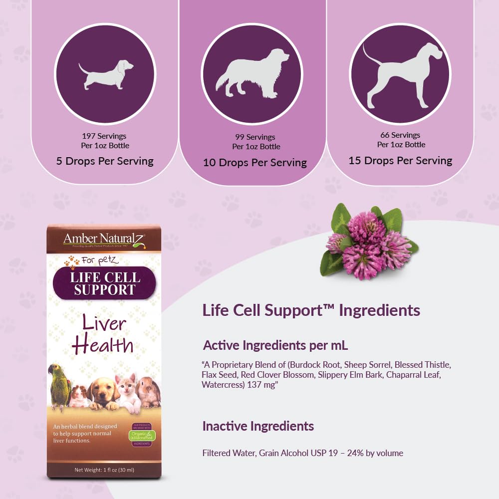 AMBER NATURALZ para perros, uso diario para apoyo natural