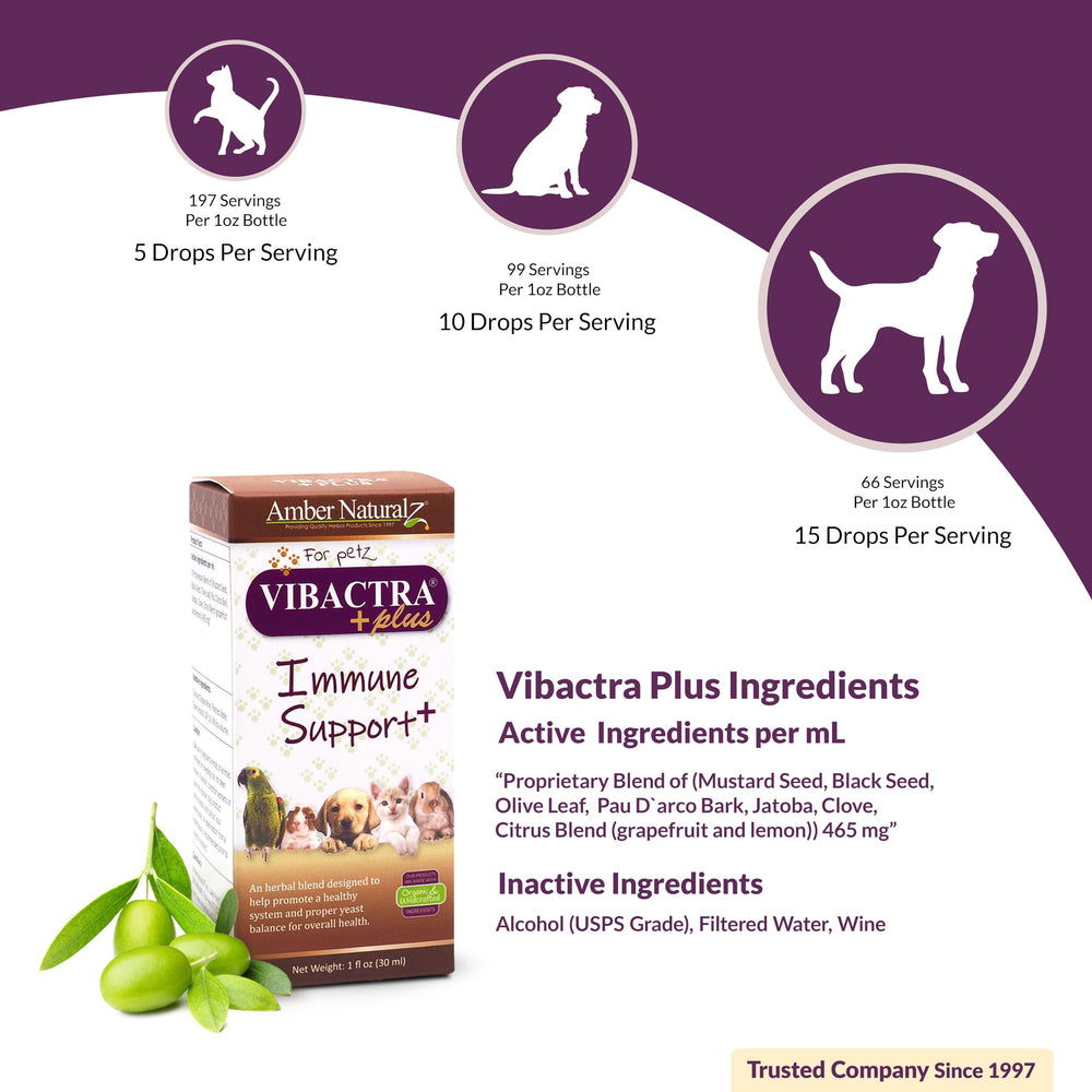 AMBER NATURALZ Vibactra Plus, uso seguro en mascotas con gotero para administración.
