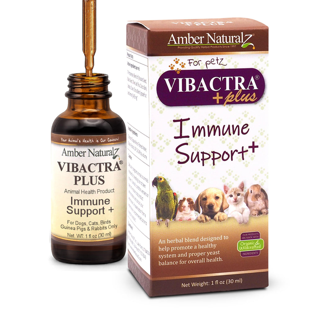 AMBER NATURALZ Vibactra Plus, botella de vidrio ámbar con gotero para dosificación fácil.
