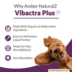 AMBER NATURALZ Vibactra Plus, mezcla de ingredientes orgánicos y silvestres para uso diario.