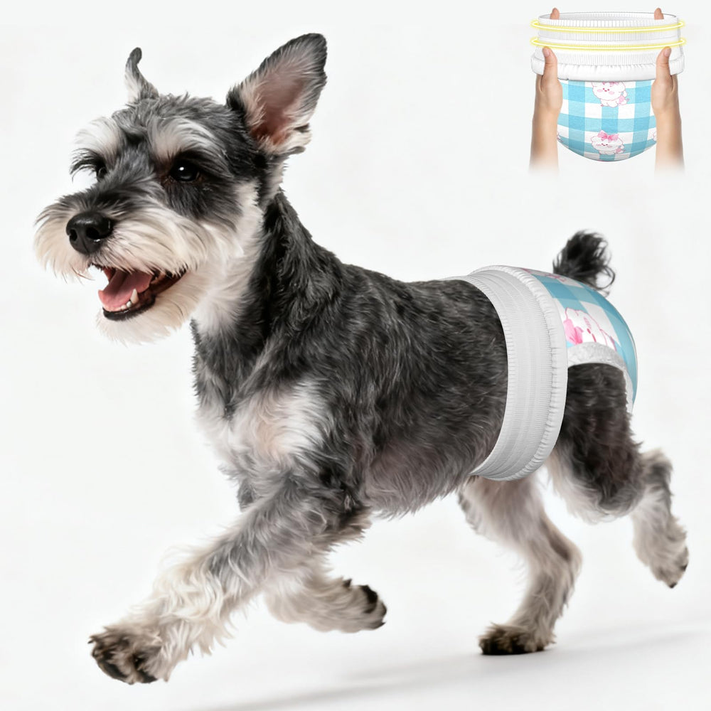 Ambreview Pañales para perras con cintura 360°, ajuste cómodo para caminar