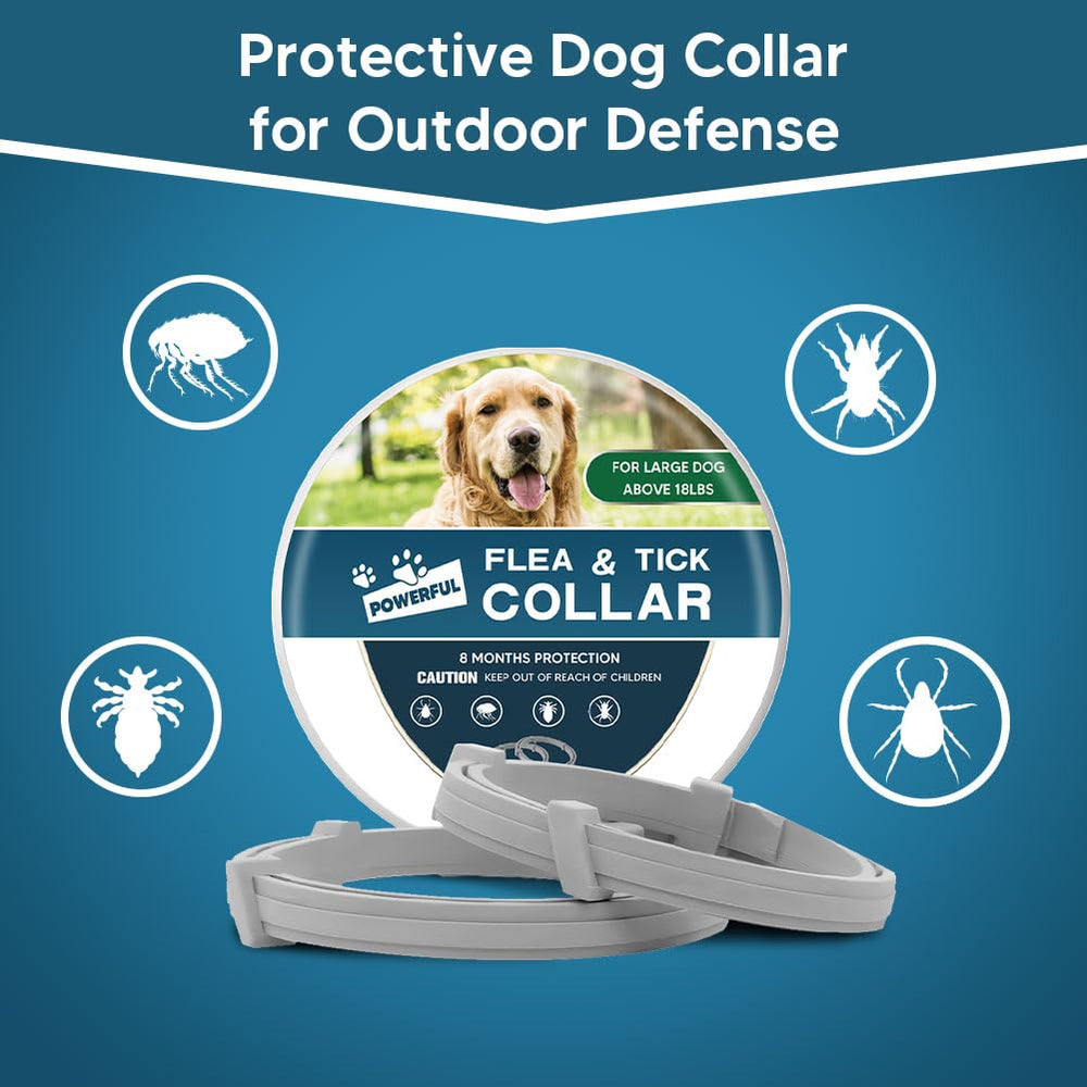 AMDEIUR collar antipulgas fácil de usar: desenrollar y ajustar