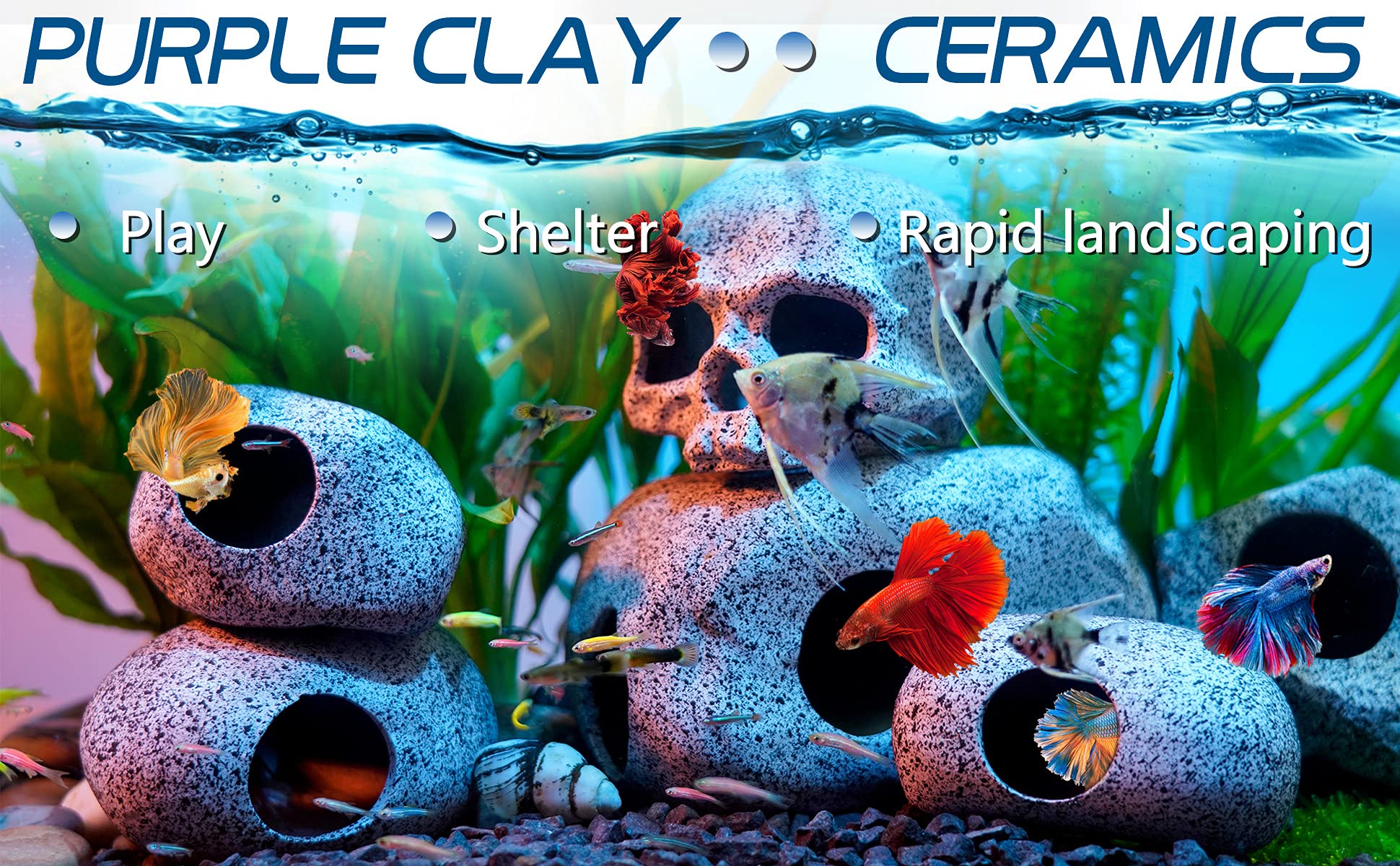 Ameliade cueva oculta acuario, espacio de refugio para reproducción