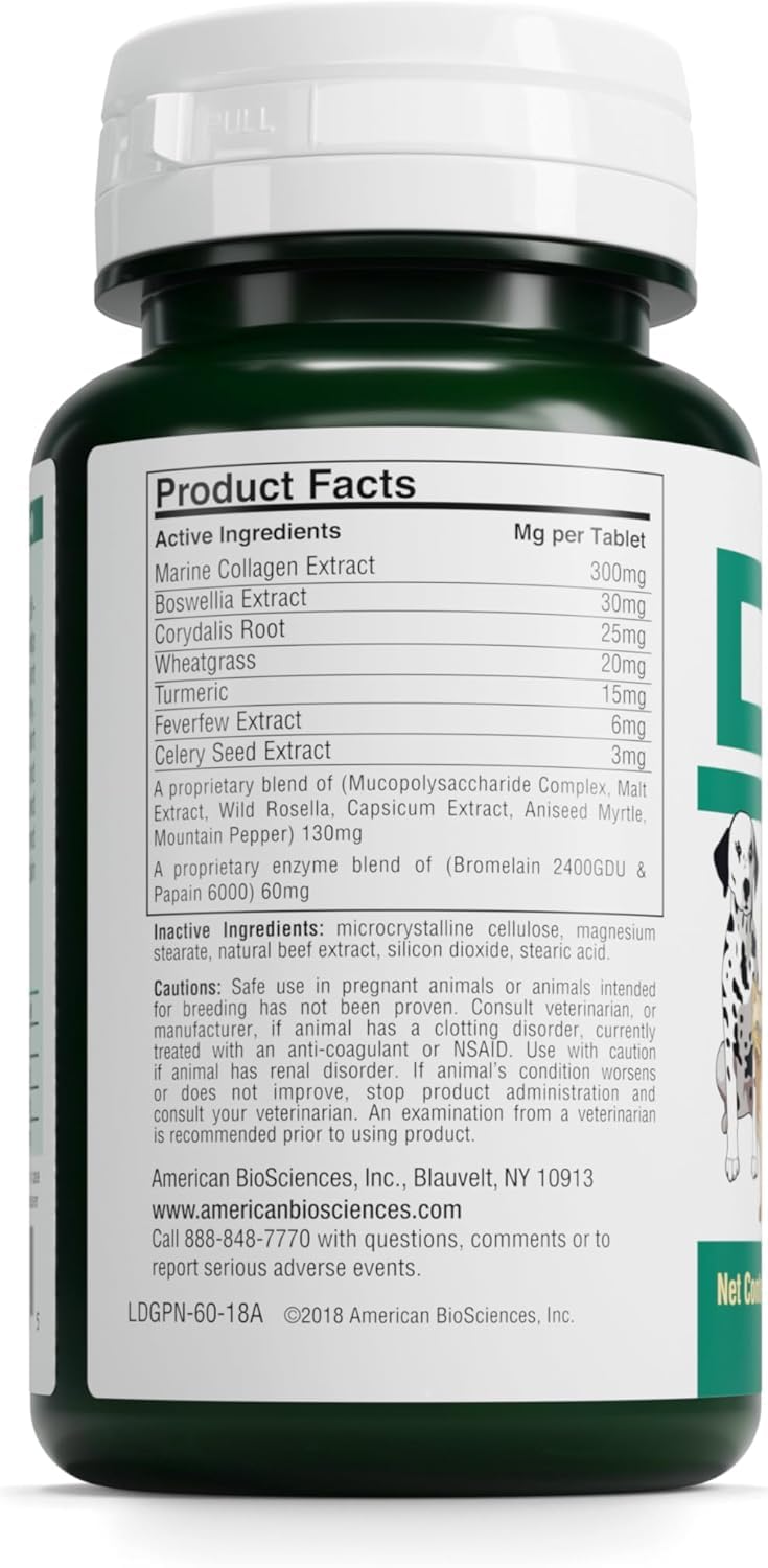 American BioSciences DGP: curcuma natural para mejorar la movilidad de tu perro