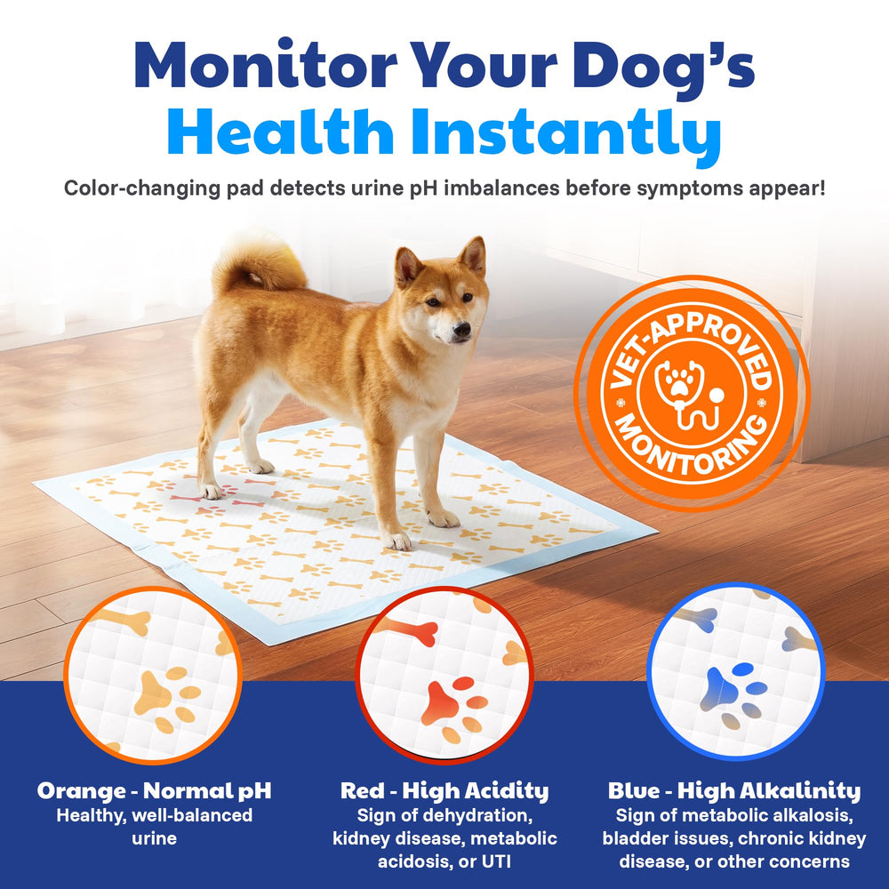 AKC American Kennel Club: diseño a prueba de fugas para mayor protección en entrenamiento