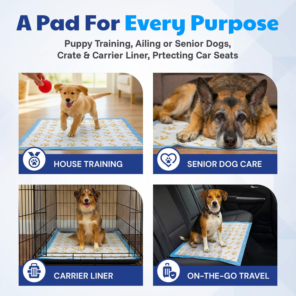 AKC American Kennel Club: fragancia fresca para un ambiente más agradable durante el uso