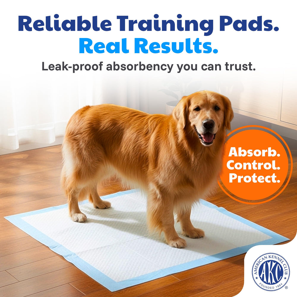 AKC pad-atractivo-3-en-1 para entrenamiento con facilidad.