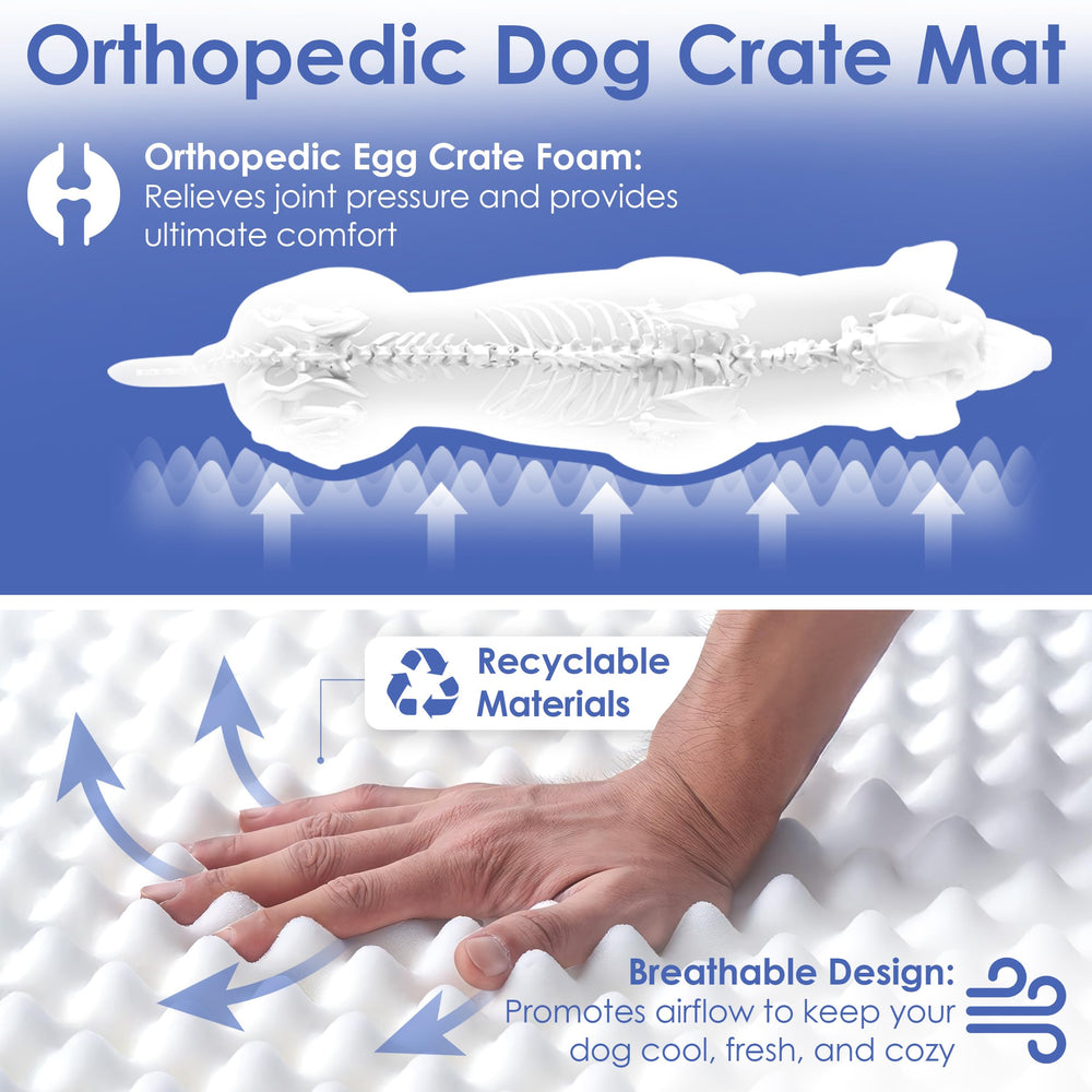 American Kennel Club: cobertura lavable y antideslizante para mayor limpieza y seguridad.