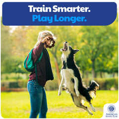 American Kennel Club, juguete con sabor a carne, mantiene al perro enganchado durante el juego.