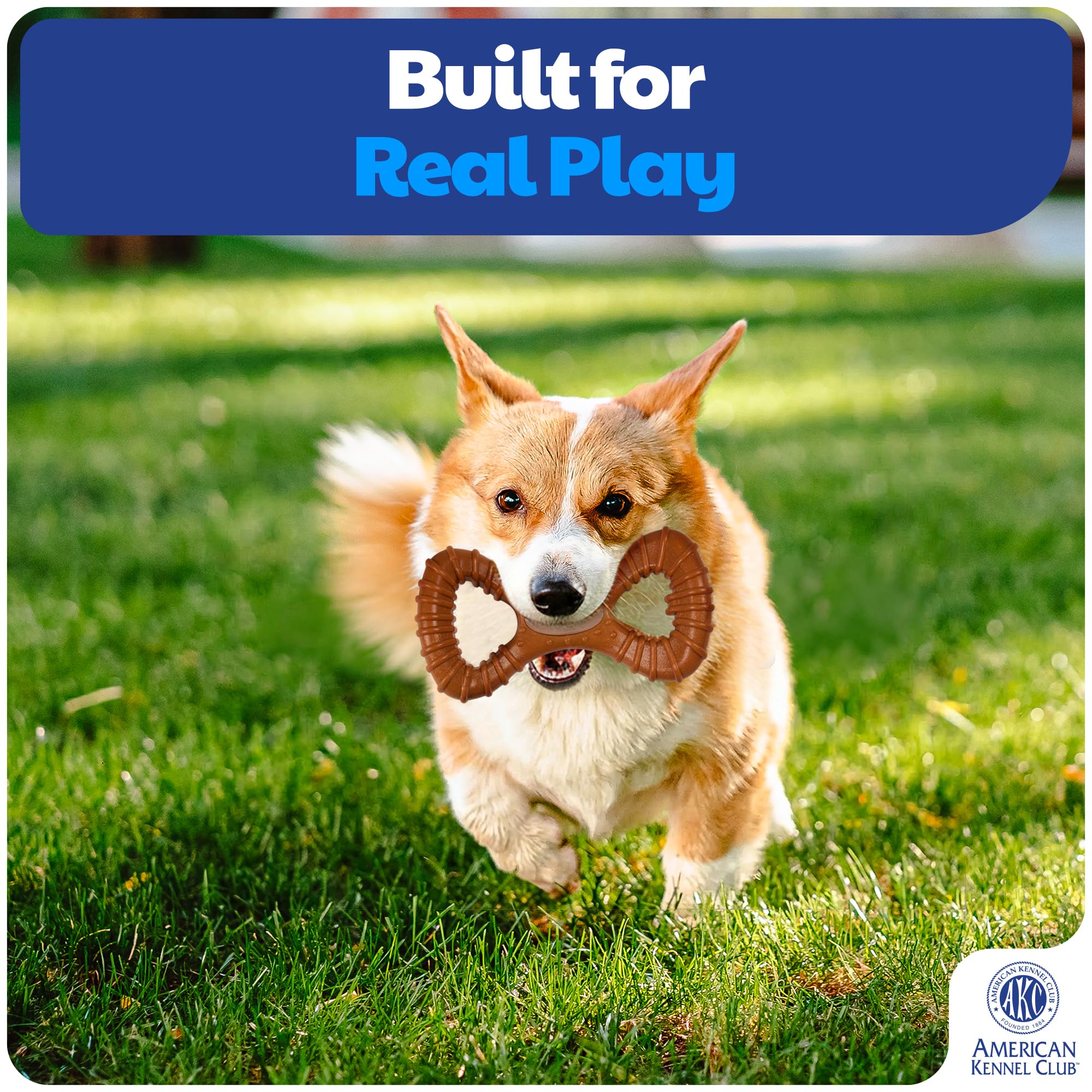 American Kennel Club, juguete para entrenamiento diario, redirige la masticación destructiva hacia hábitos positivos.