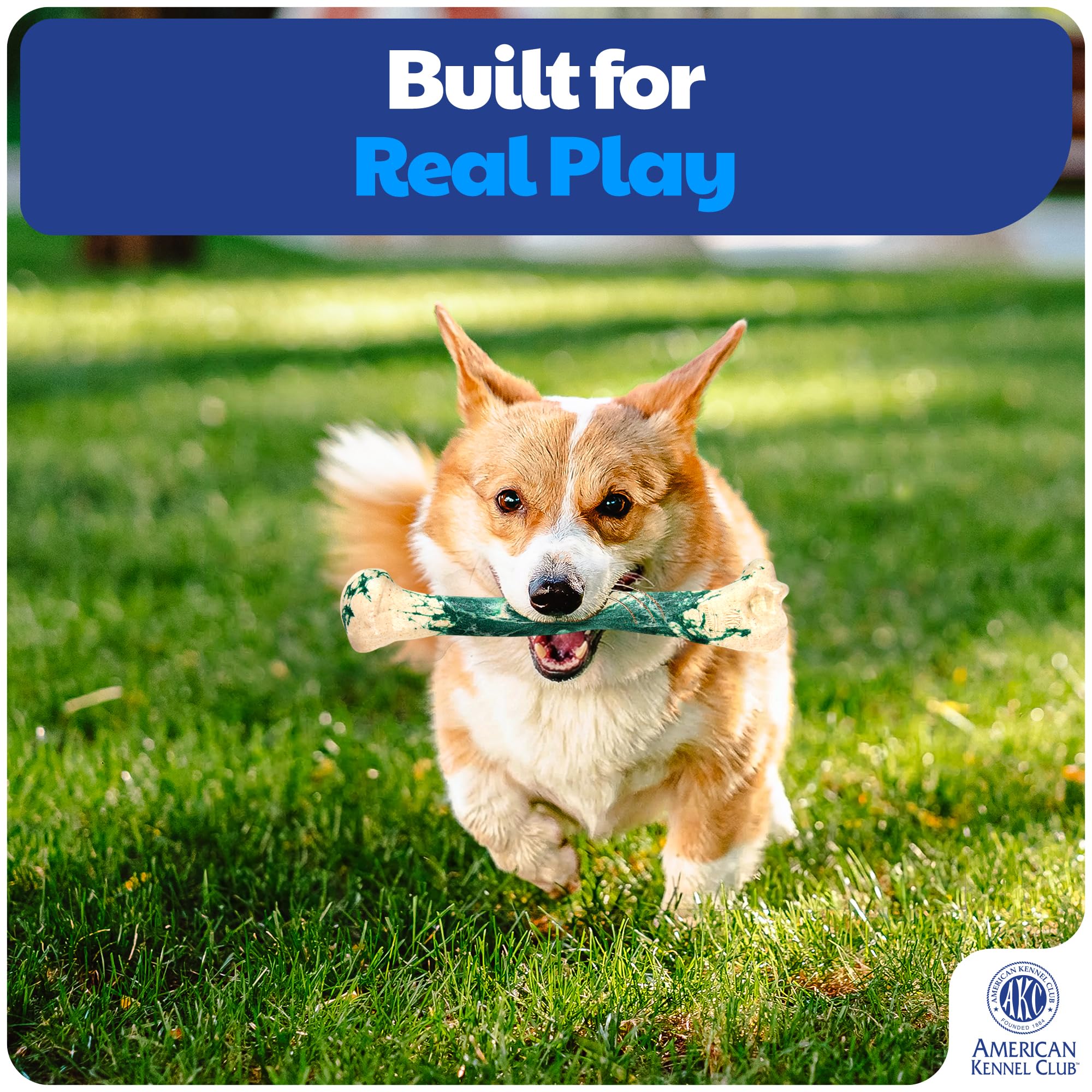 American Kennel Club: juguete resistente para perros de masticación moderada en juego diario.