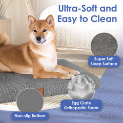American Kennel Club: materiales ecoamigables y seguros para mascotas en casa.