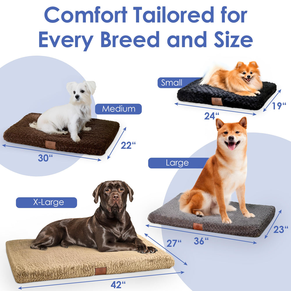 American Kennel Club: materiales ecológicos seguros para mascotas y familia.