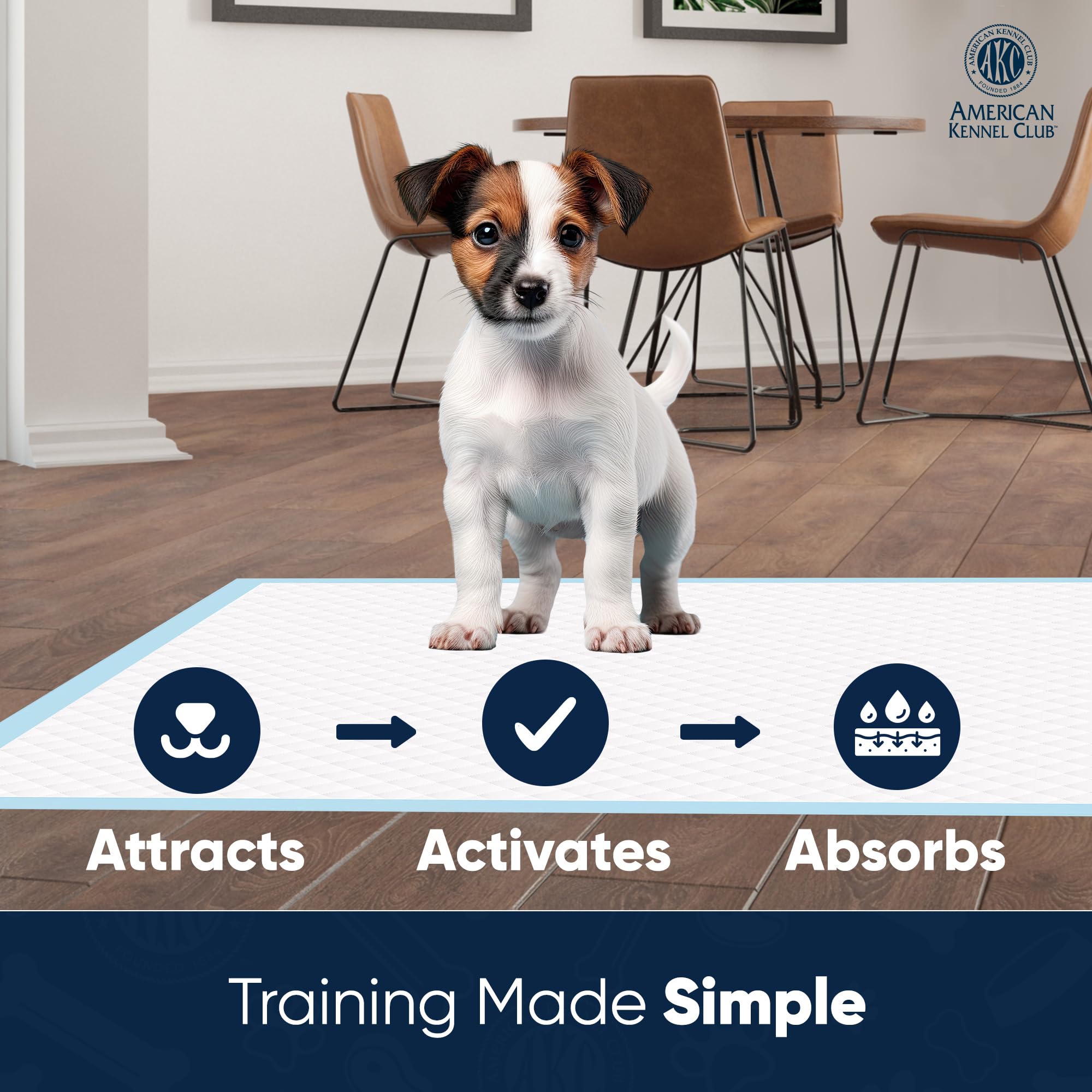 American Kennel Club pads: núcleo absorbente de secado rápido para superficies secas.