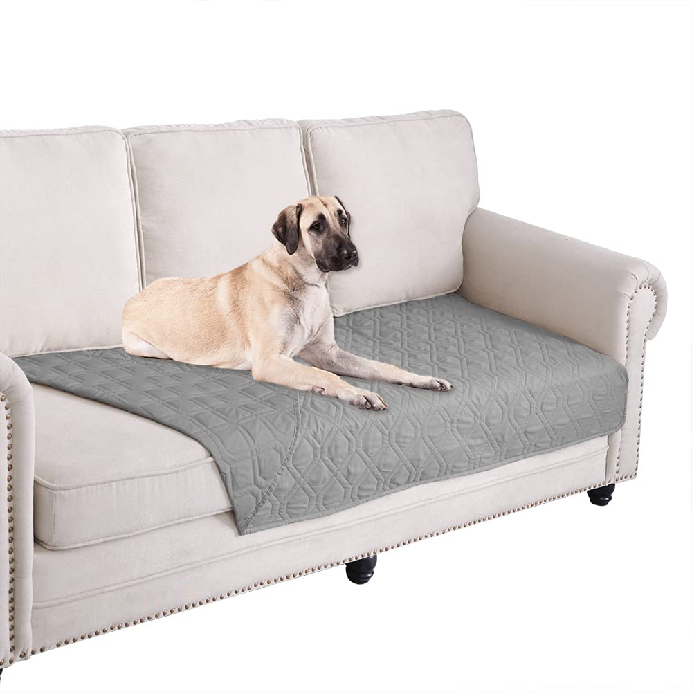 Ameritex couverture impermable pour canapé et chien protège le mobilier.