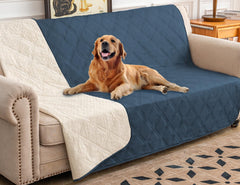 Ameritex funda impermeable para perro protege muebles de líquidos.