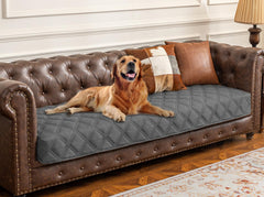 Ameritex funda-impermeable-perro-sillon protege muebles de líquidos y manchas.