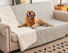 Ameritex funda impermeable para perro sobre sofá protege muebles y evita manchas