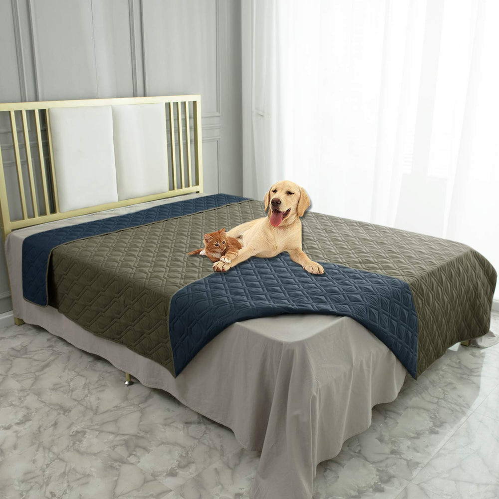 Ameritex textura suave brinda confort al peludo compañero