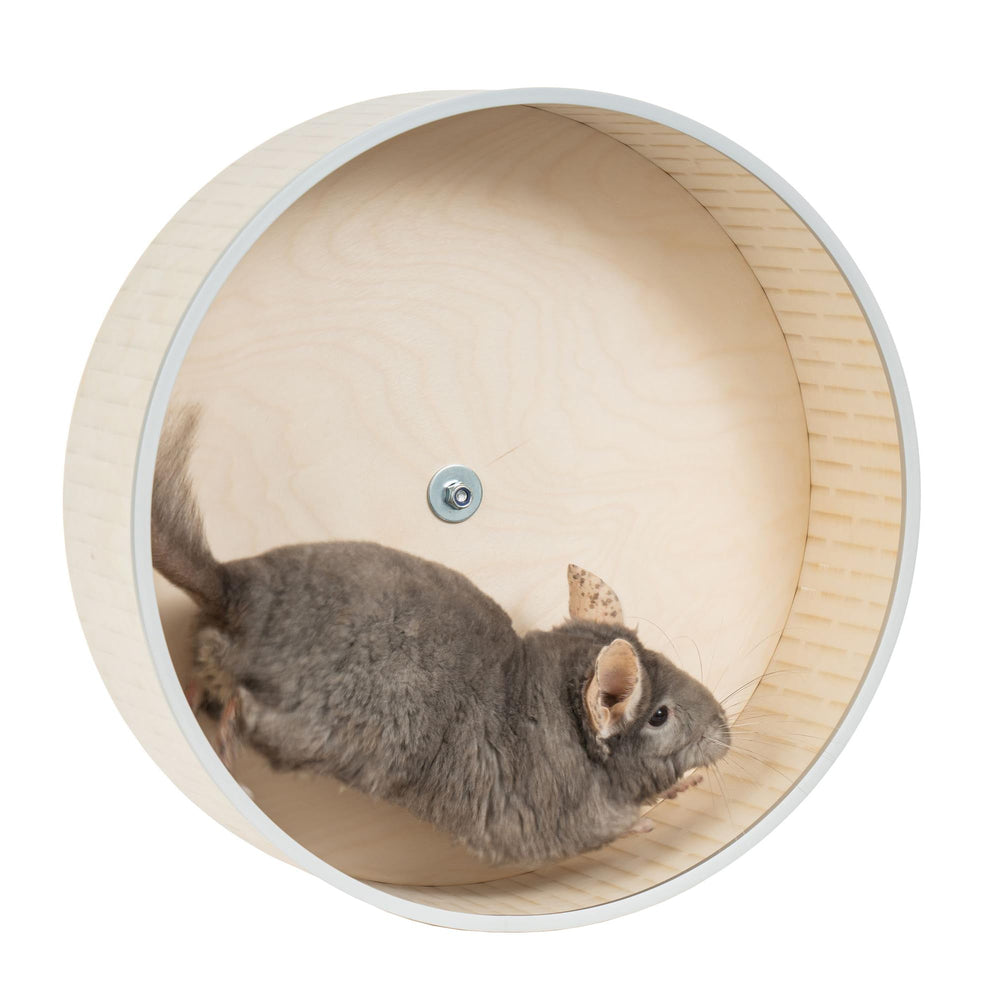 AMIDA Craft rueda silenciosa de 16 pulgadas para chinchillas, giro suave para ejercicio diario