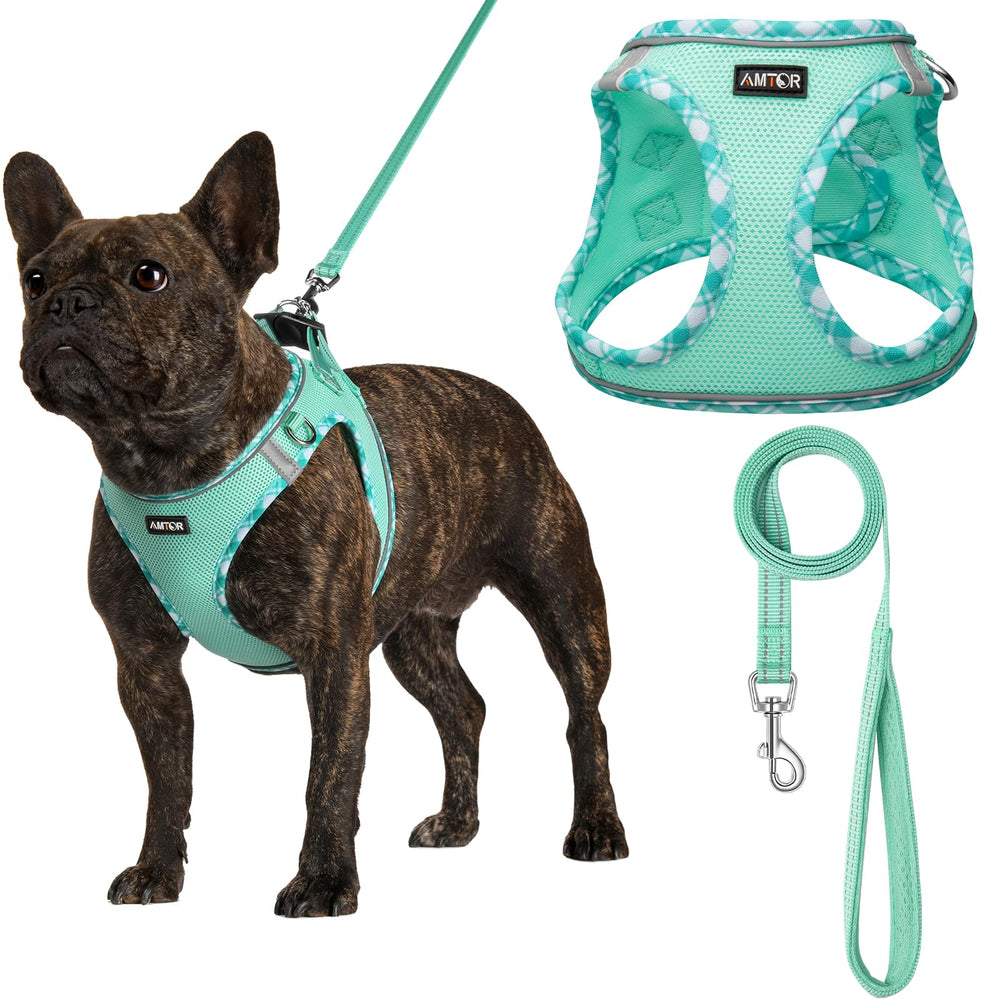 AMTOR harnais petit chien vert – confort et sécurité dès la promenade