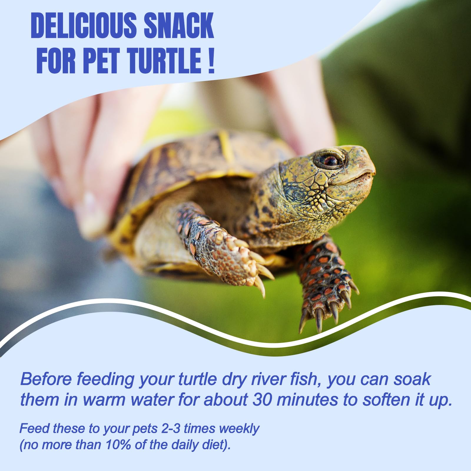 Alimentation rivière poissons Amzey, utilisation quotidienne sûre pour reptiles aquatiques.