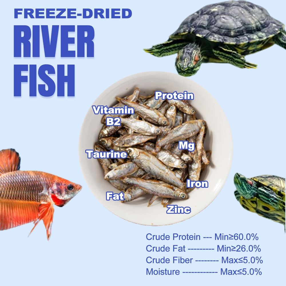 Alimentation tortues et poissons-riviere-seches Amzey, soutien nutritionnel sans additifs.