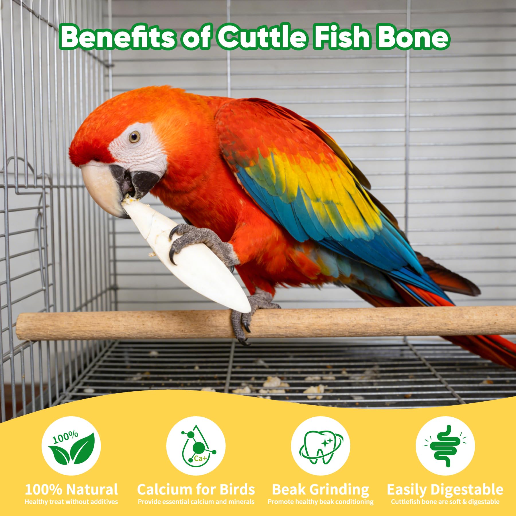 Amzey cuttlebone para nutrición en acuarios y reptiles, calcio enriquecido.