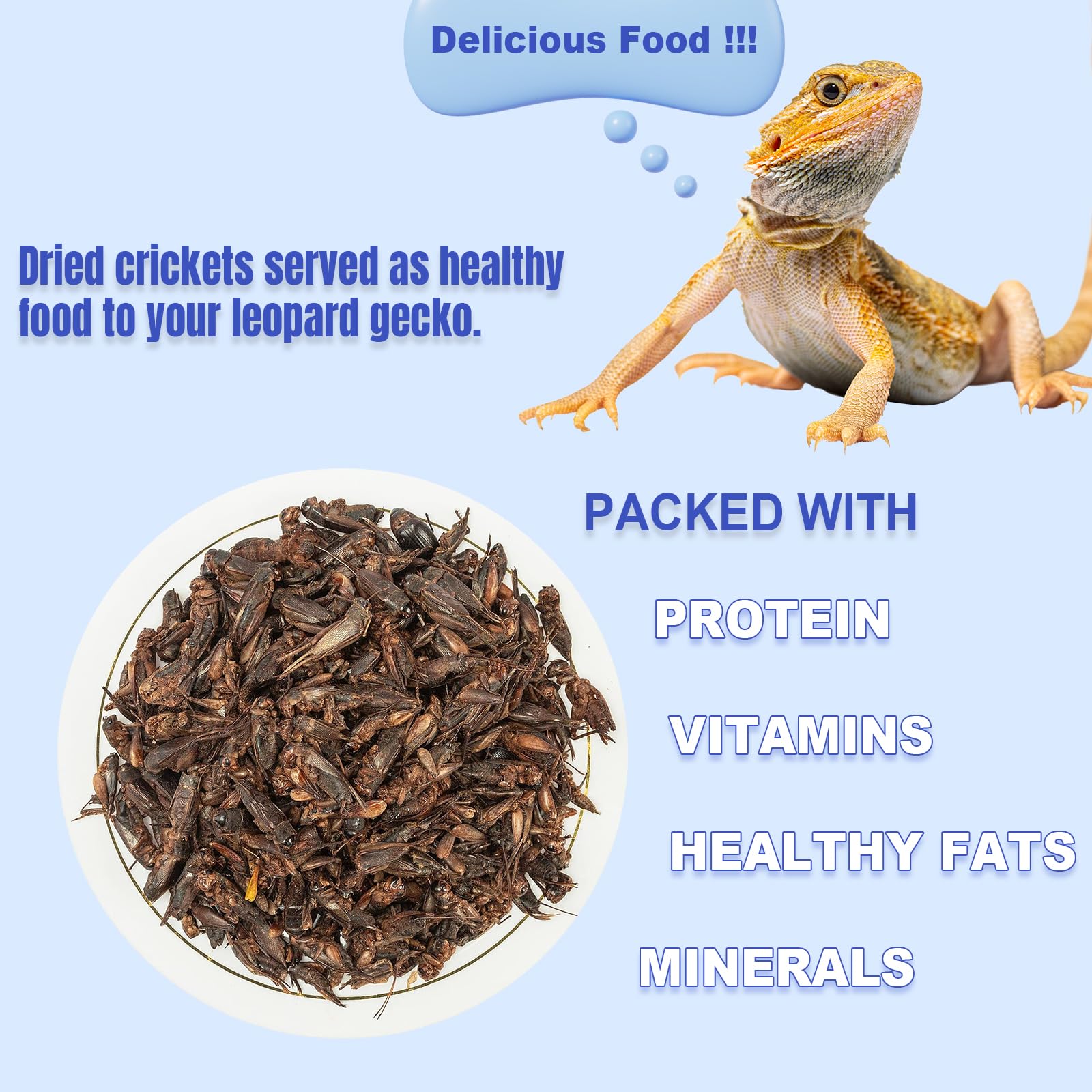 Amzey dragón barbudo: dieta insectívora segura para reptiles