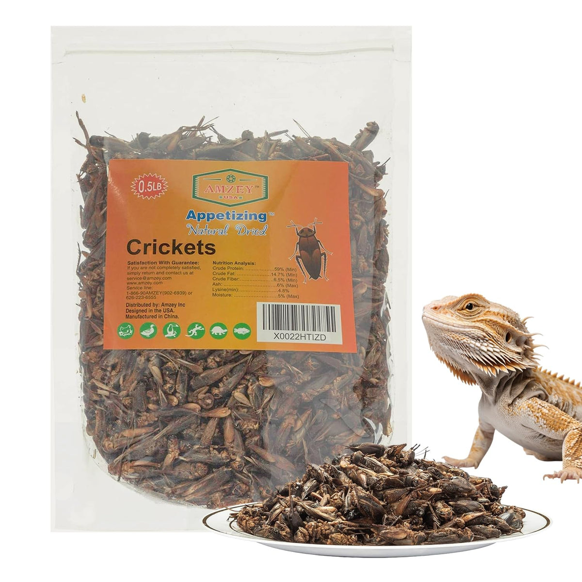 Amzey gusanos de harina secos, fuente de proteína para reptiles