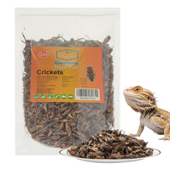 Amzey gusanos de harina secos, fuente de proteína para reptiles
