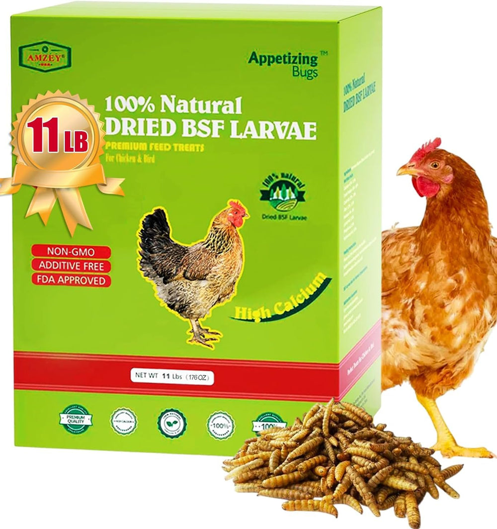 Amzey BSF larvas secas en caja con asa para almacenamiento práctico.