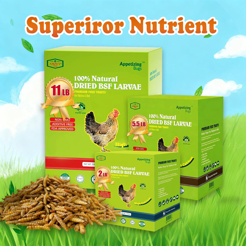 Caja gruesa de Amzey BSF, ideal para compra a granel.
