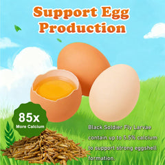 Uso recomendado para gallinas para reforzar la cáscara de huevo.