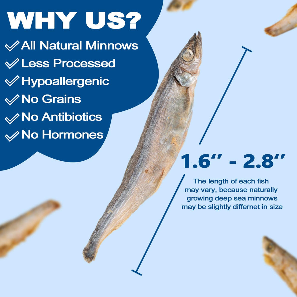 Amzey pececillos liofilizados 7oz proteína alta para energía.