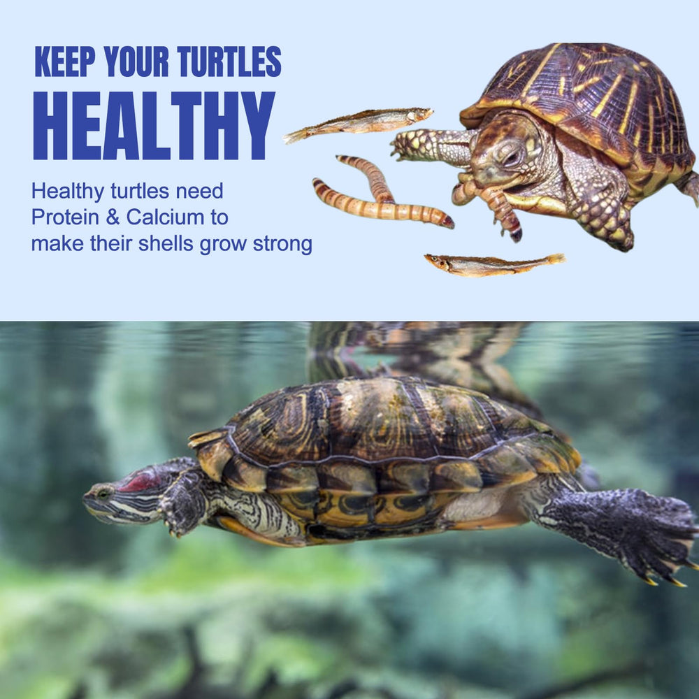 Amzey Tortuga Medley con gammarus secos, complemento nutritivo para tortugas de acuario.