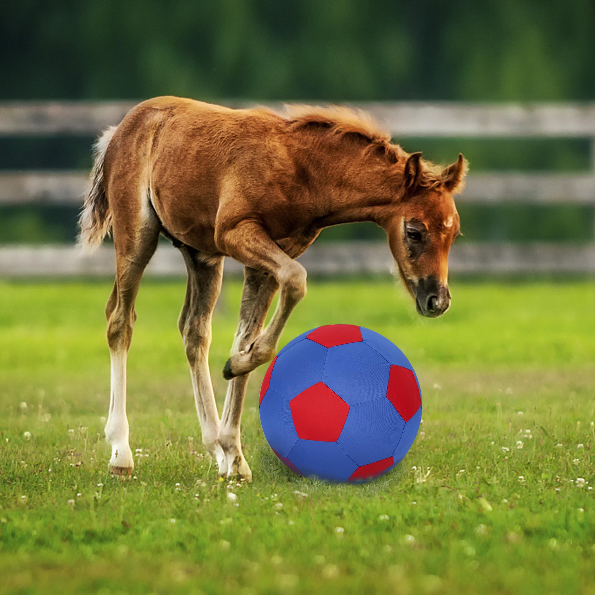 ANC POP Bomba manual para inflar la bola con comodidad.