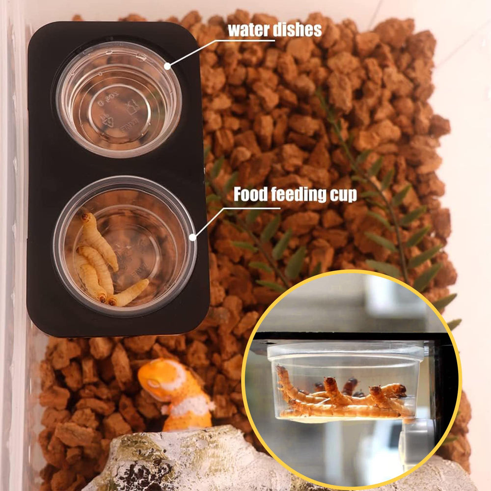 ANCKNE taza pequeña para reptiles gecko crestado, perfecta para porciones controladas