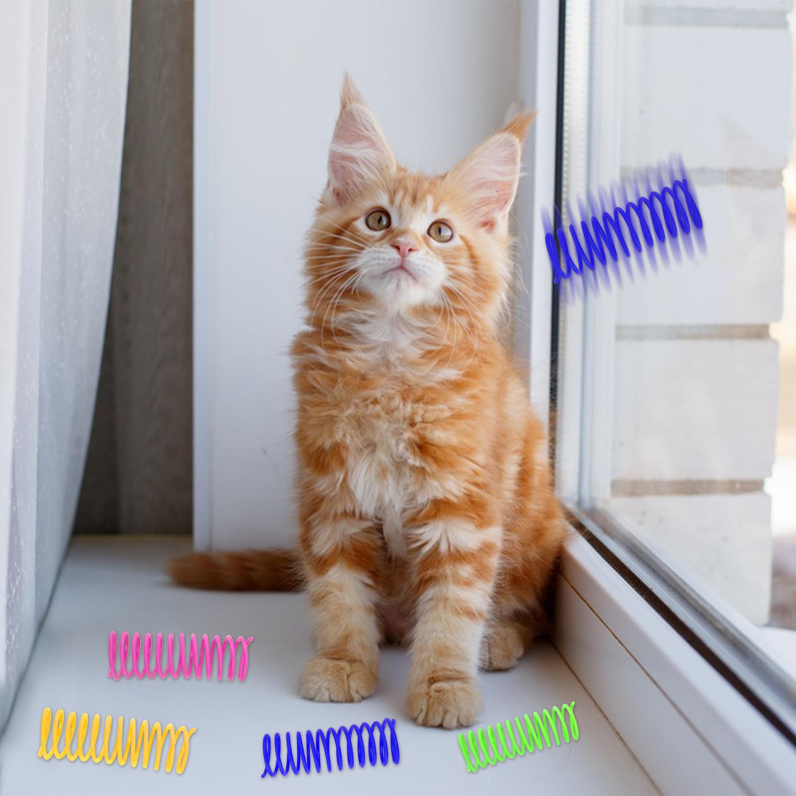 Andiker muelle espiral violeta: diseño duradero para gatitos curiosos.