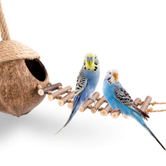 andwe plataforma de actividad con escalera para aves activas